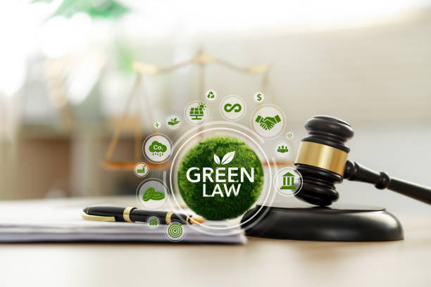 Environmental law litigation India